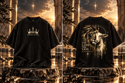 Unisex Oversized T-Shirt Revelation 5:6