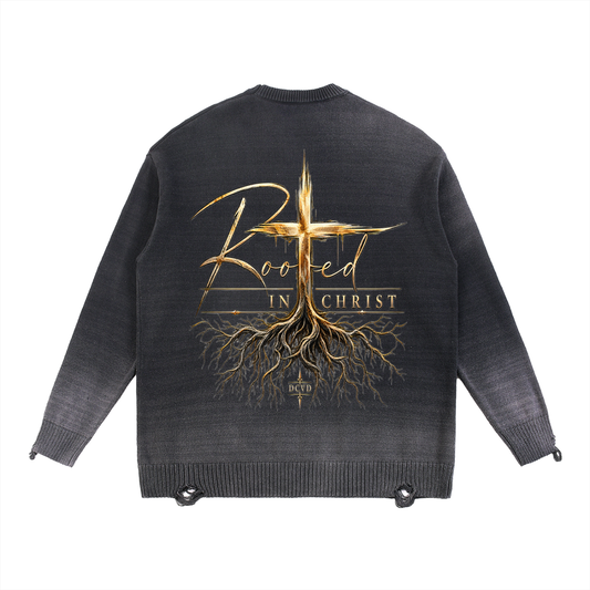 Sun Fade Distressed Ripped Crewneck sweater ROOTED